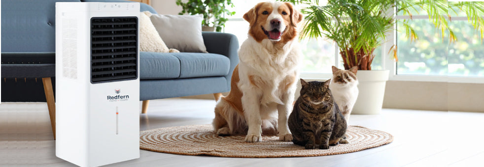 How to Keep Your Pets Cool and Comfortable Without AC (Canadian Edition)