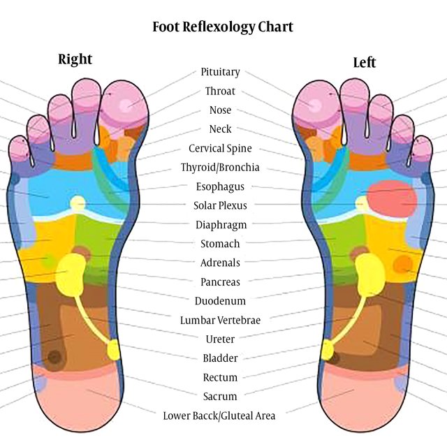 What is Reflexology and why your feet are so important?