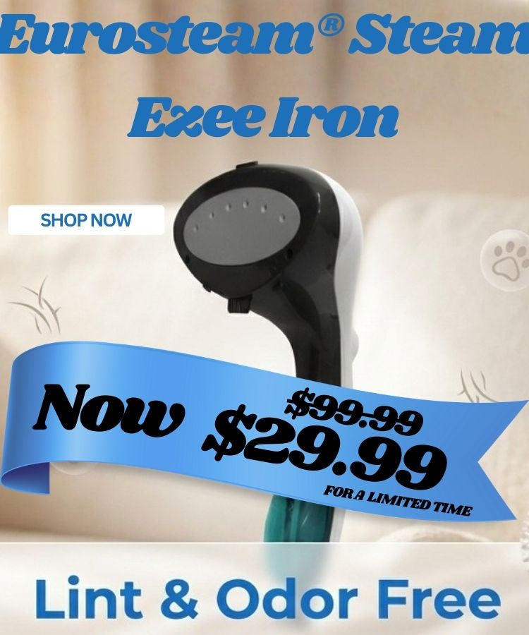 Eurosteam Steam Ezee Iron with promotional pricing on a white background