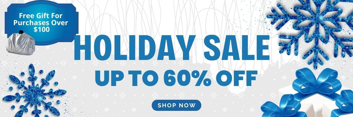 Holiday sale banner with blue snowflakes and text about discounts and a free gift offer.