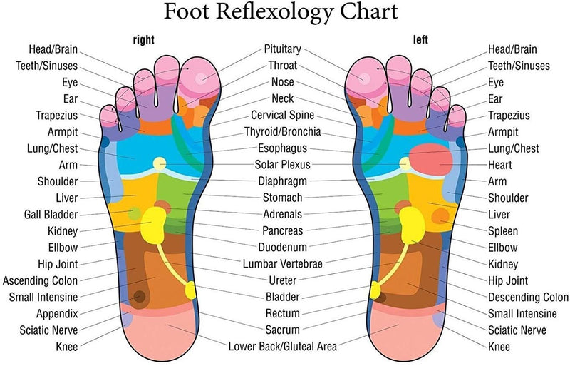 Recertified BACKplus® Foot Massager